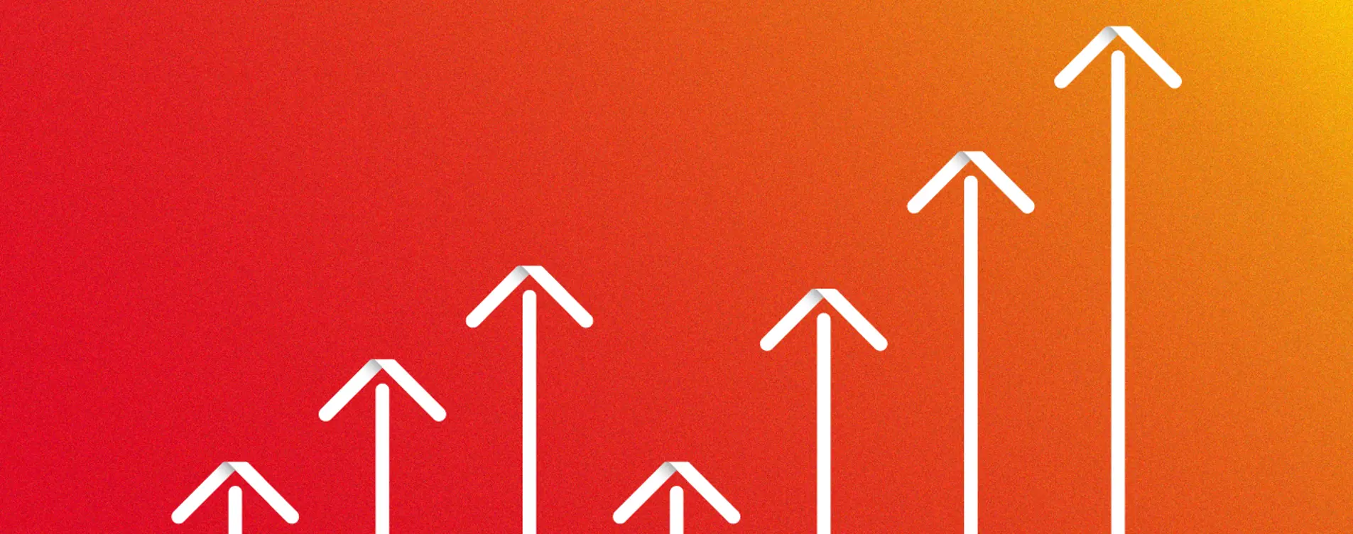 Insights Hero